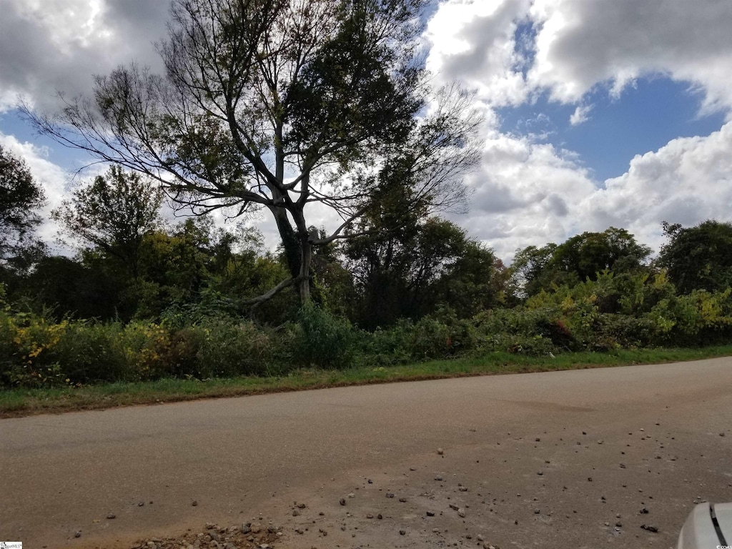Leonard Rd, Duncan, SC 29334 - photo 2