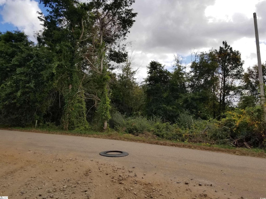 Leonard Rd, Duncan, SC 29334 - photo 1