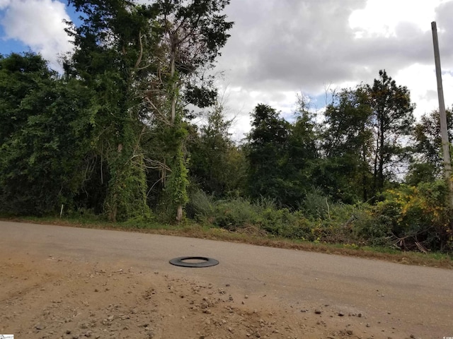 Leonard Rd, Duncan, SC 29334 - photo 1