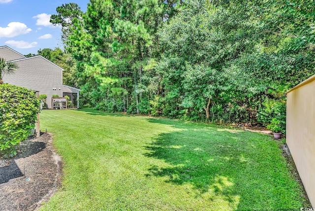 1062 Dinger Ct Unit 1062, Myrtle Beach, SC 29588 - photo 31