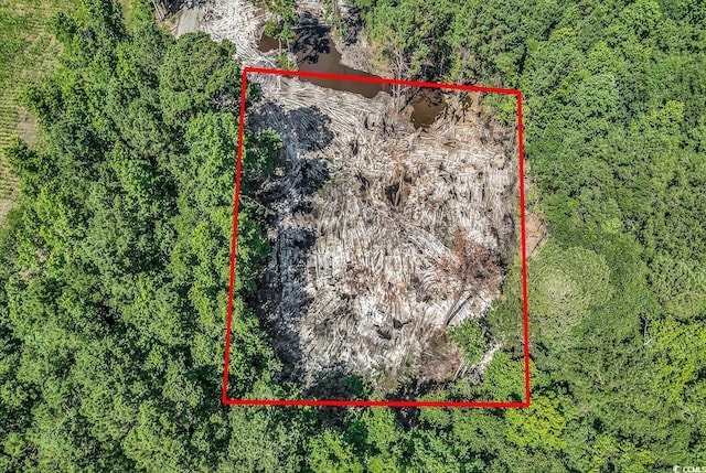 TBB4 Coats Rd, Loris, SC 29569 - photo 4
