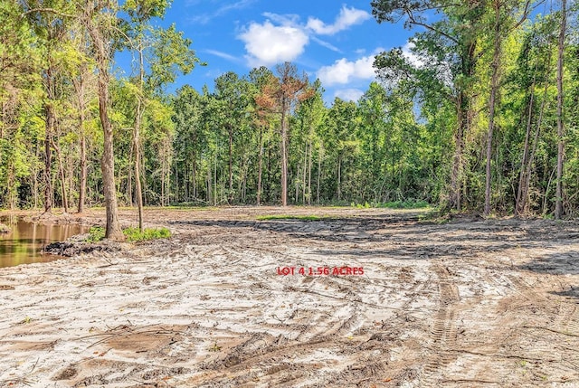 TBB4 Coats Rd, Loris, SC 29569 - photo 5