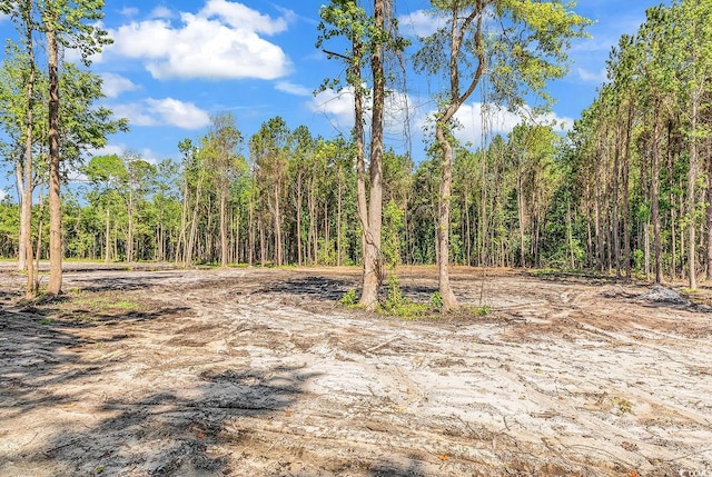 TBB4 Coats Rd, Loris, SC 29569 - photo 6