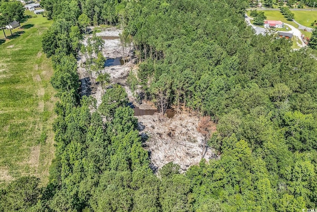TBB4 Coats Rd, Loris, SC 29569 - photo 8