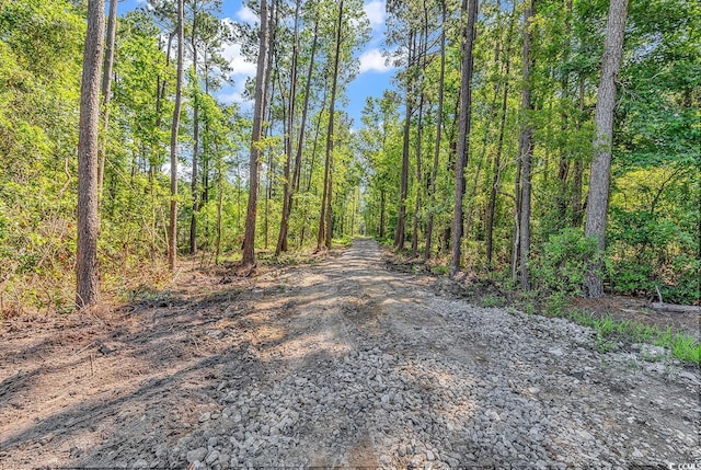 TBB4 Coats Rd, Loris, SC 29569 - photo 9