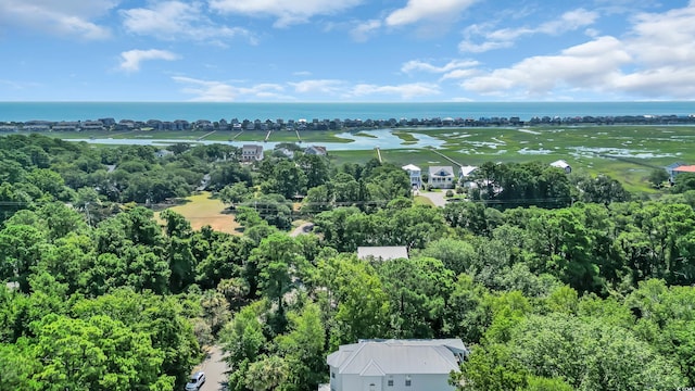 53 Harbourreef Dr, Pawleys Island, SC 29585 - photo 40