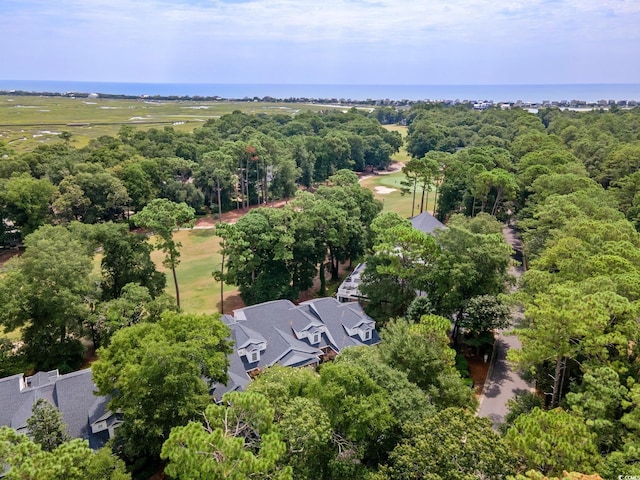 613-A Golden Bear Dr Unit A, Pawleys Island, SC 29585 - photo 31