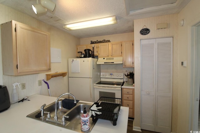 408 Tree Top Ct Unit 8-B, Myrtle Beach, SC 29588 - photo 6