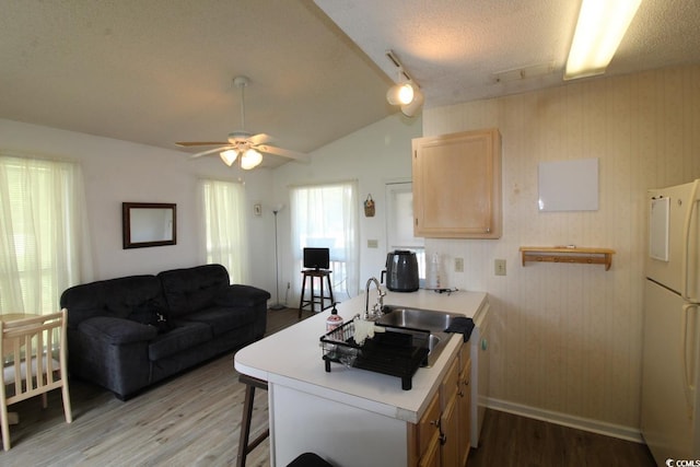 408 Tree Top Ct Unit 8-B, Myrtle Beach, SC 29588 - photo 8