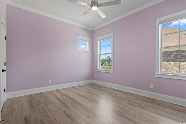 9510 Carrington Dr, Myrtle Beach, SC 29579 - photo 24