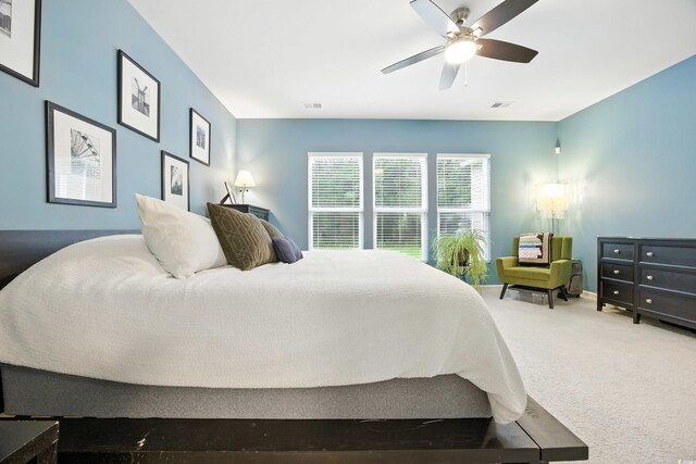 399 Trestle Way, Conway, SC 29526 - photo 20