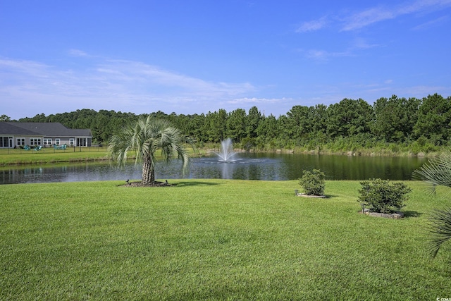 1044 Caprisia Loop, Myrtle Beach, SC 29579 - photo 31