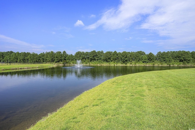 1044 Caprisia Loop, Myrtle Beach, SC 29579 - photo 38