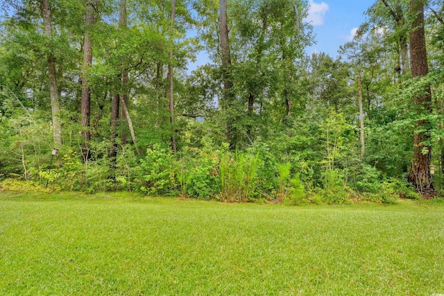 162 Vineyard Pl Unit 40, Pawleys Island, SC 29585 - photo 7