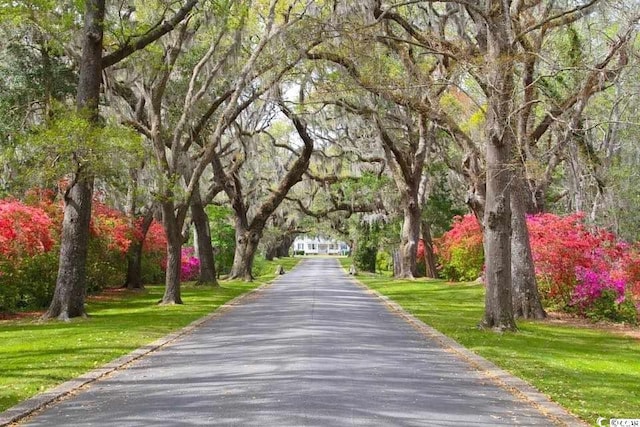 162 Vineyard Pl Unit 40, Pawleys Island, SC 29585 - photo 31