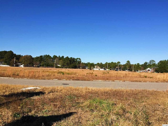 LOT11 Professional Park Dr, Conway, SC 29526 - photo 6