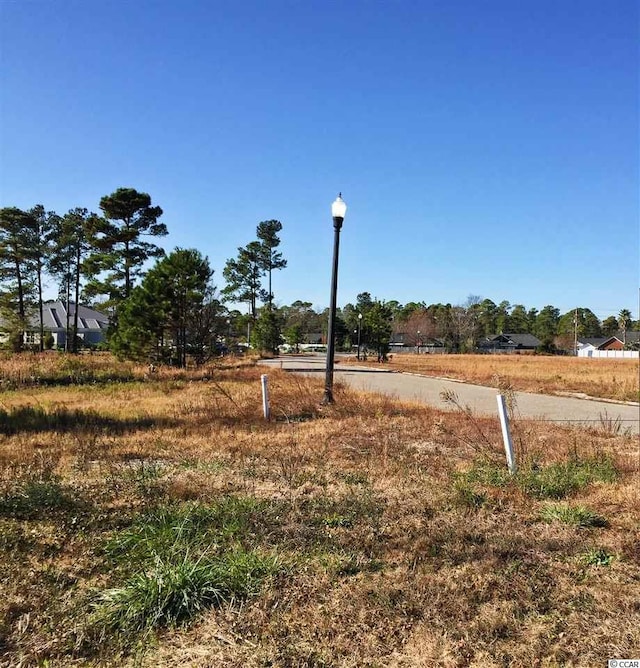 LOT11 Professional Park Dr, Conway, SC 29526 - photo 7