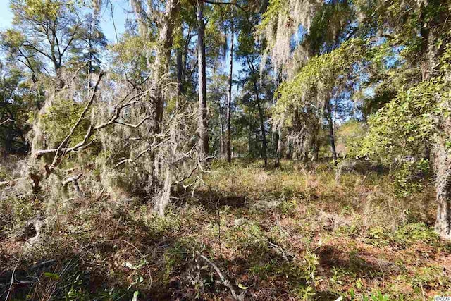 0 Ocean Hwy, Pawleys Island SC, 29585 land for sale