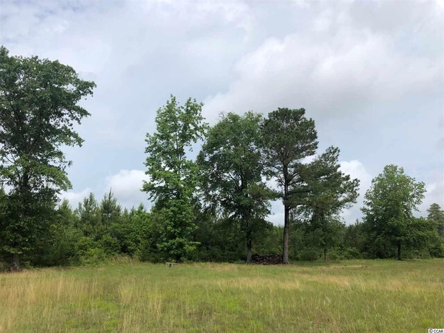 TBD Fifteen Mile Bay Rd, Nichols, SC 29581 - photo 5