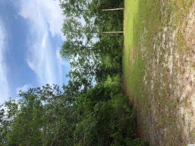 TBD Fifteen Mile Bay Rd, Nichols, SC 29581 - photo 6