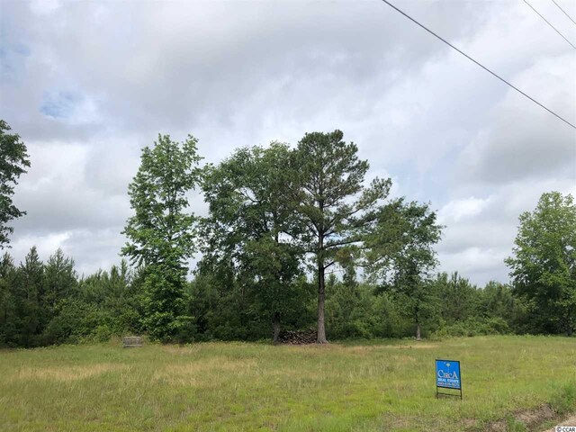 TBD Fifteen Mile Bay Rd, Nichols, SC 29581 - photo 7