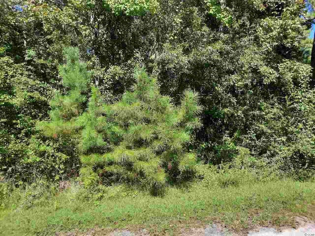 LOT9 E Wisteria Dr, Hemingway SC, 29554 land for sale