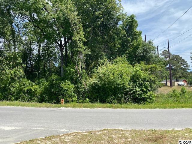 TBD Liz Ln, Conway, SC 29527