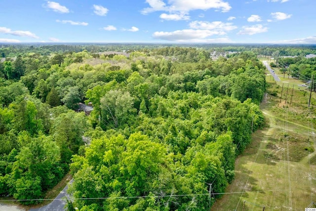 TBD Liz Ln, Conway, SC 29527
