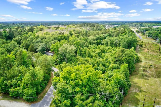 TBD Liz Ln, Conway, SC 29527