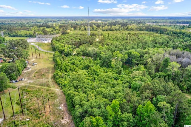 TBD Liz Ln, Conway, SC 29527