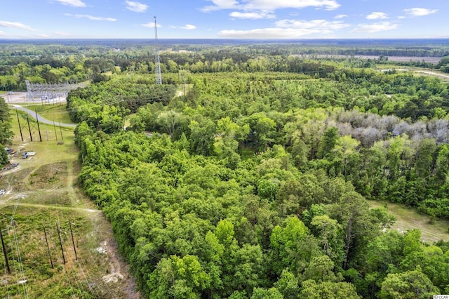 TBD Liz Ln, Conway, SC 29527