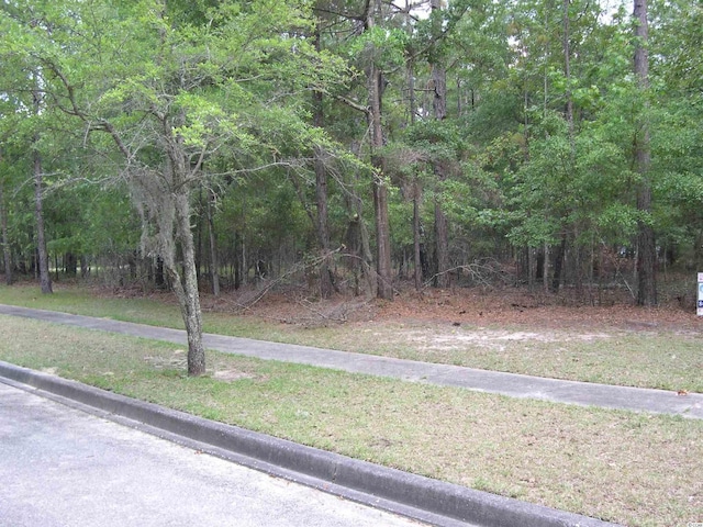 1867 Old Town Ave, Georgetown SC, 29440 land for sale