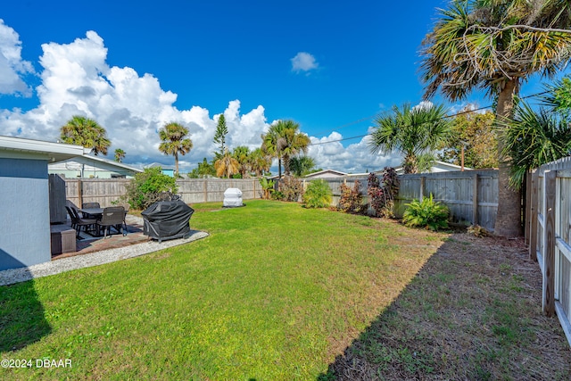 view of yard featuring a patio area