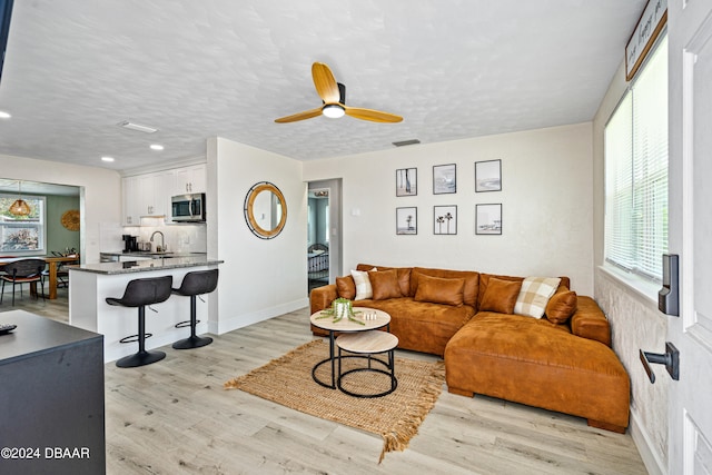 living room featuring light wood-type flooring, plenty of natural light, and sink