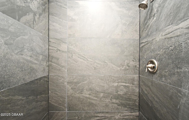 interior details with tiled shower