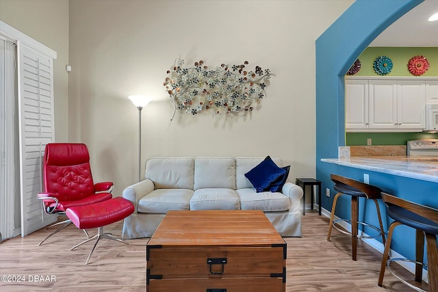 living room featuring light hardwood / wood-style floors