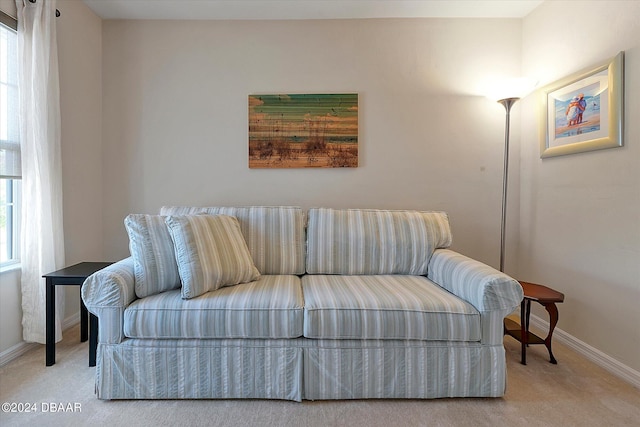 living room featuring carpet floors