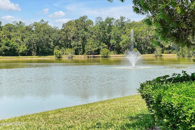 view of water feature