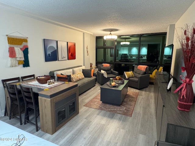 living room with hardwood / wood-style floors and a textured ceiling