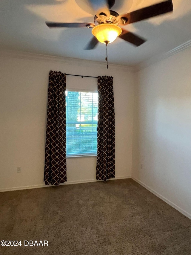 carpeted spare room featuring ceiling fan and ornamental molding