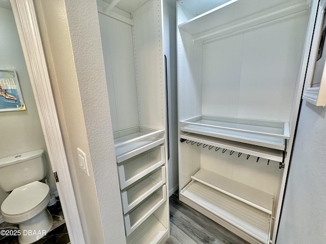 view of closet