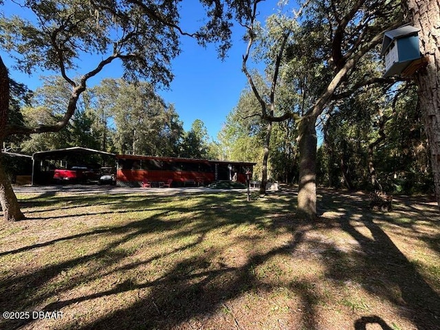 17531 NE 139th Ave, Fort Mccoy, FL 32134 - view of grassy yard with a detached carport