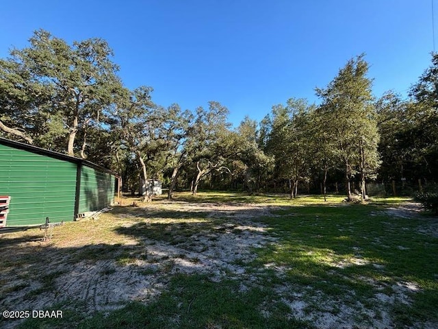 17531 NE 139th Ave, Fort Mccoy, FL 32134 - view of yard