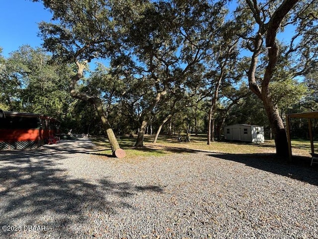 17531 NE 139th Ave, Fort Mccoy, FL 32134 - view of yard with a storage shed