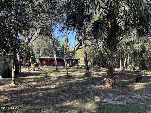 17531 NE 139th Ave, Fort Mccoy, FL 32134 - view of yard