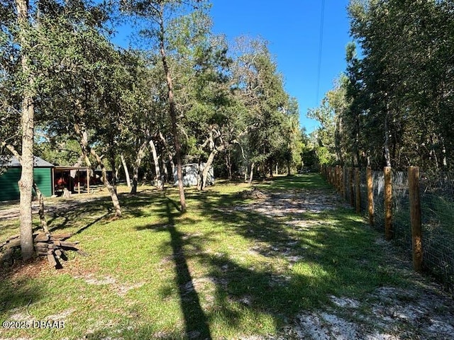 17531 NE 139th Ave, Fort Mccoy, FL 32134 - view of yard