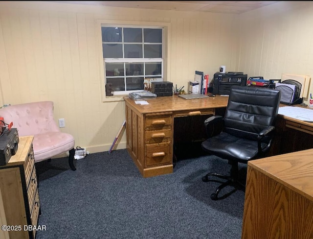 17531 NE 139th Ave, Fort Mccoy, FL 32134 - home office with carpet and wood walls