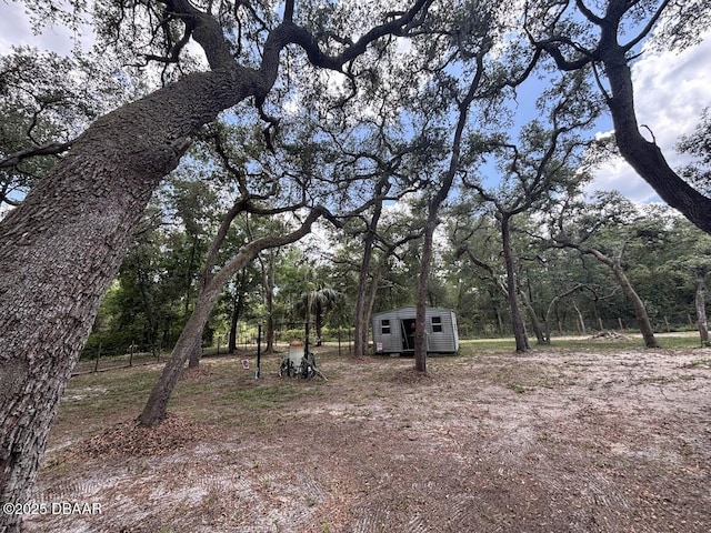 17531 NE 139th Ave, Fort Mccoy, FL 32134 - view of yard with a storage shed