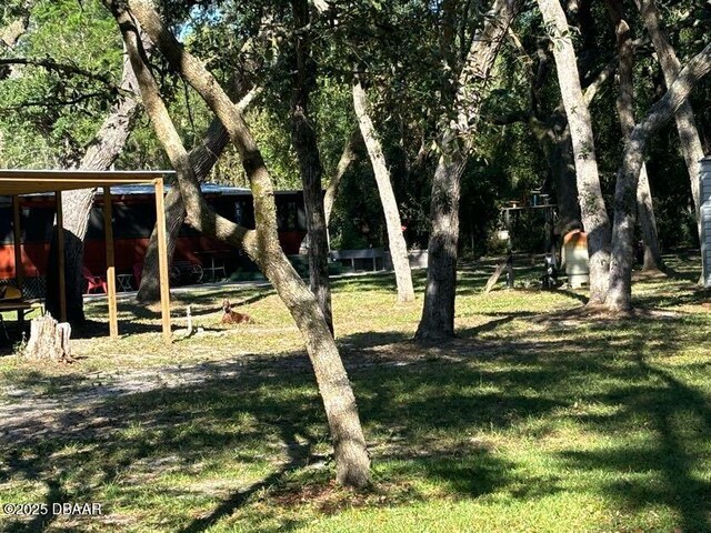 17531 NE 139th Ave, Fort Mccoy, FL 32134 - view of grassy yard
