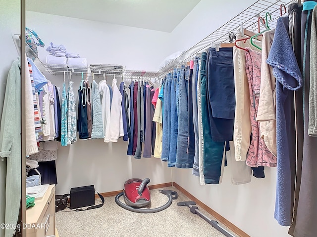 spacious closet featuring carpet floors